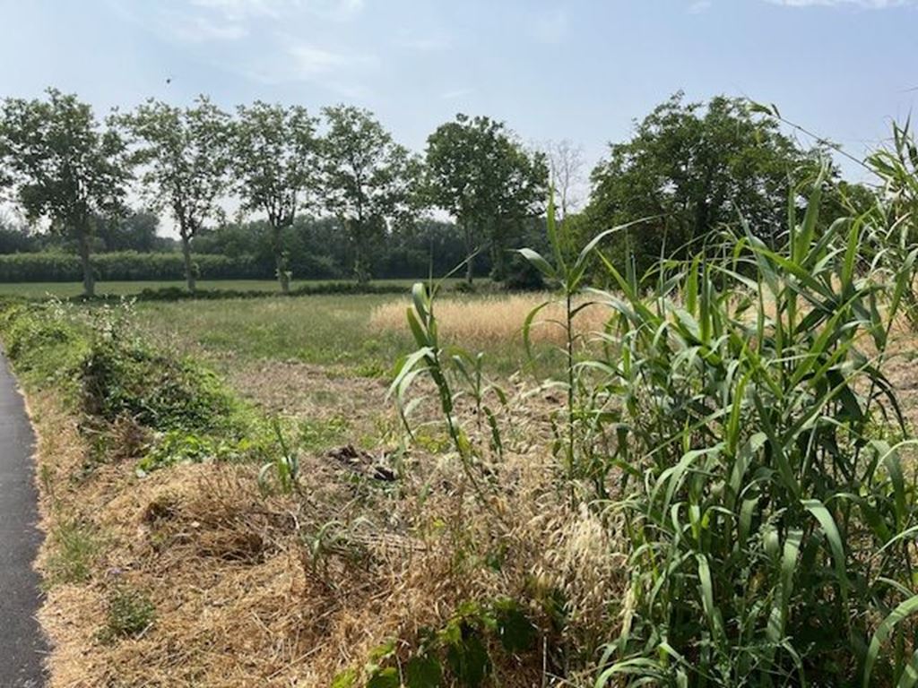 image du bien immobilier Terrain BEZIERS